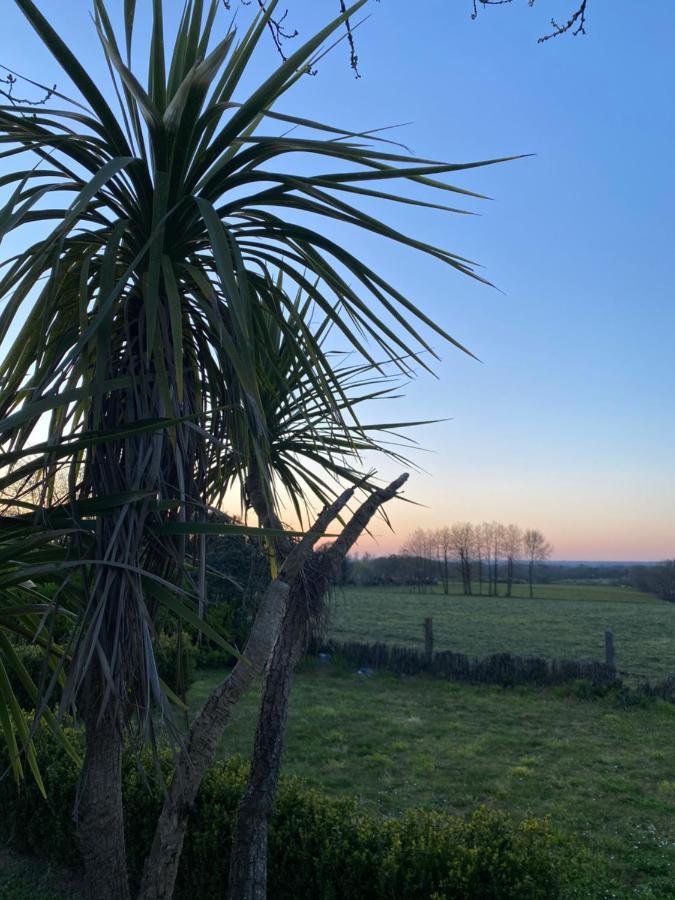 Maisonbel, Gite Convivial Bretagne Vannes Sarzeau 15 Personnes Surzur Buitenkant foto